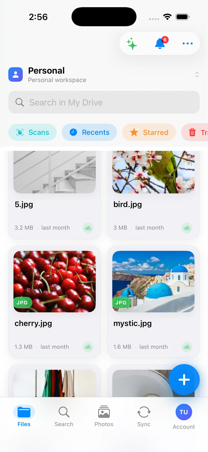 File list in the VirtualDrive iPhone app