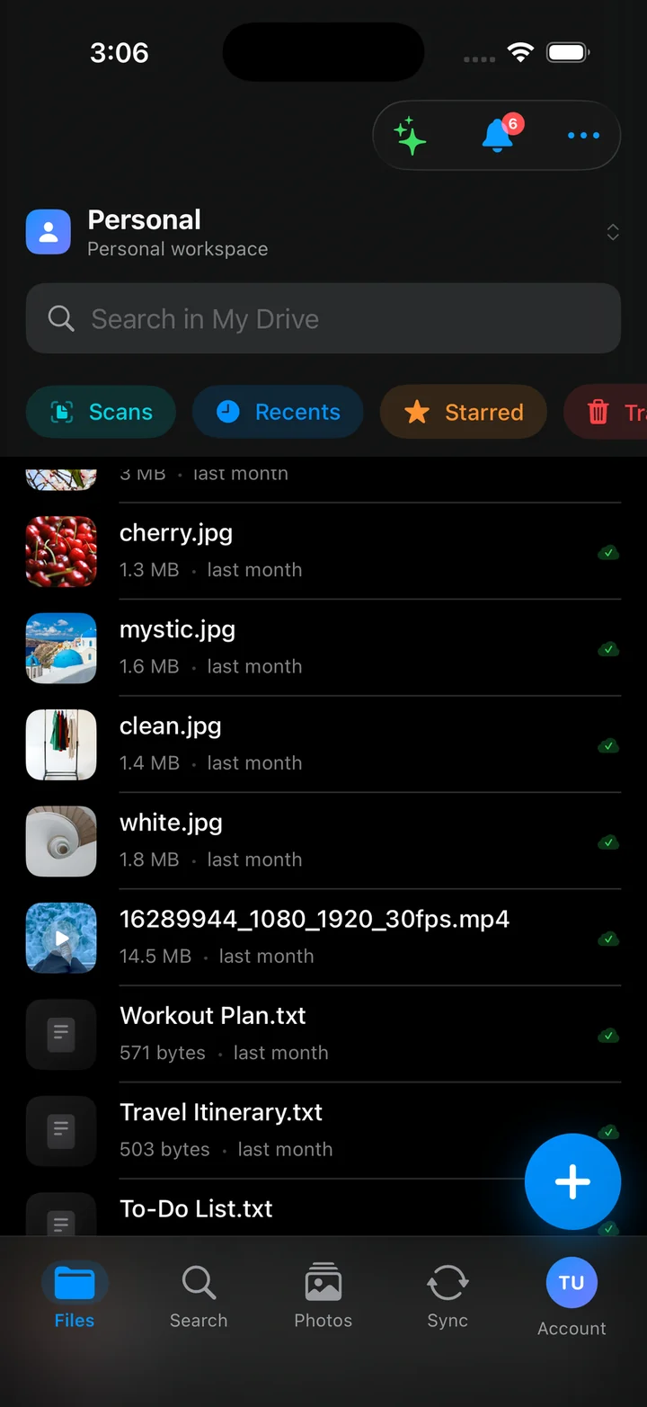 File list in the VirtualDrive iPhone app