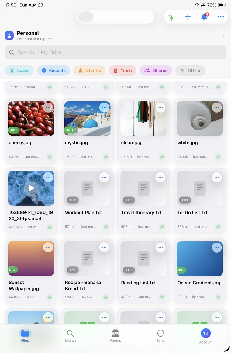 VirtualDrive file grid on iPad